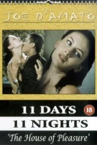 Дом удовольствия 