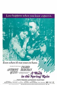 Прогулка под весенним дождем 